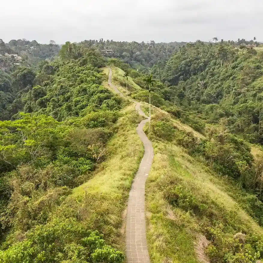 Eco-Friendly Security Practices in Bali: 2027 Update